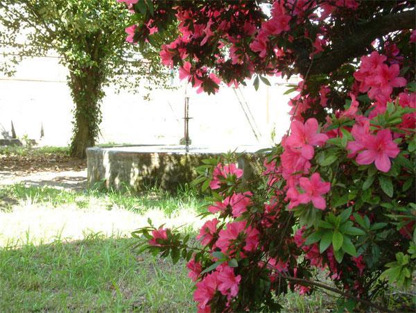 As Casinas Villa Рибадавия Екстериор снимка